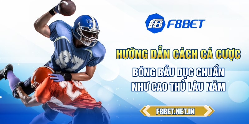 Hướng Dẫn Cách Cá Cược Bóng Bầu Dục Chuẩn Như Cao Thủ